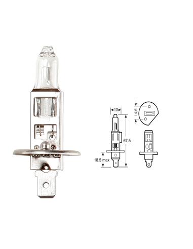 LAMP H1 12V/55W