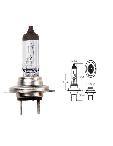 LAMP H7 12V