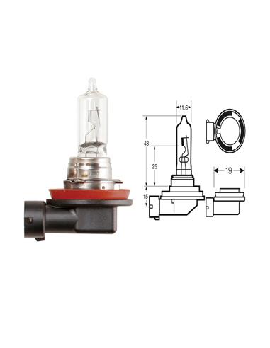 BULB H9 12V 65W